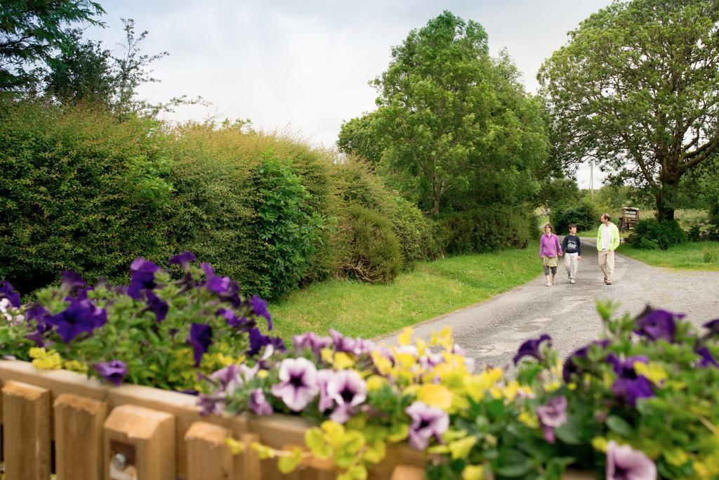 Burren Glamping Villa Kilfenora ภายนอก รูปภาพ